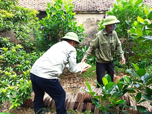 Có thể là hình ảnh về một hoặc nhiều người, mọi người đang đứng, cây và ngoài trời